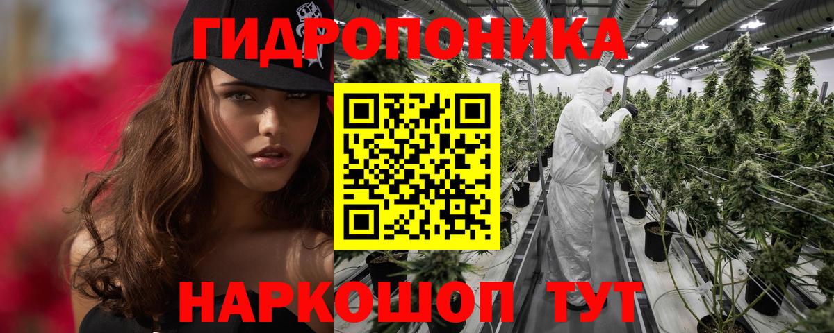 Конопля AK-47 Лесной